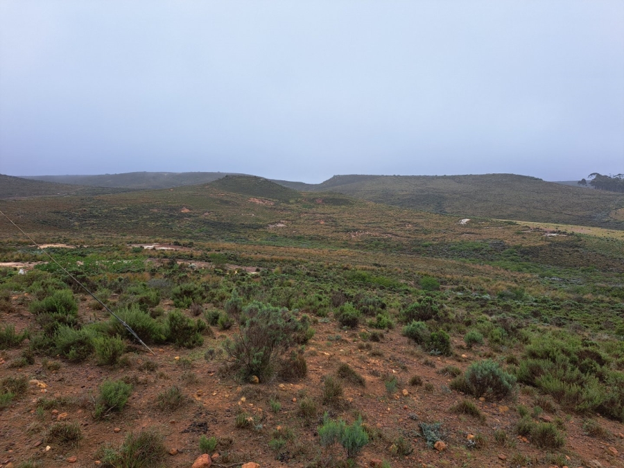 17 Bedroom Property for Sale in Riversdale Rural Western Cape